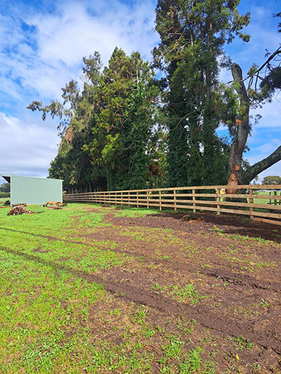 Timber fence